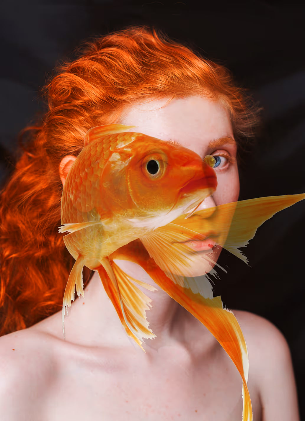 Digital Collage and the Paradox of Originality: Is It Art to Create from the Work of Others?