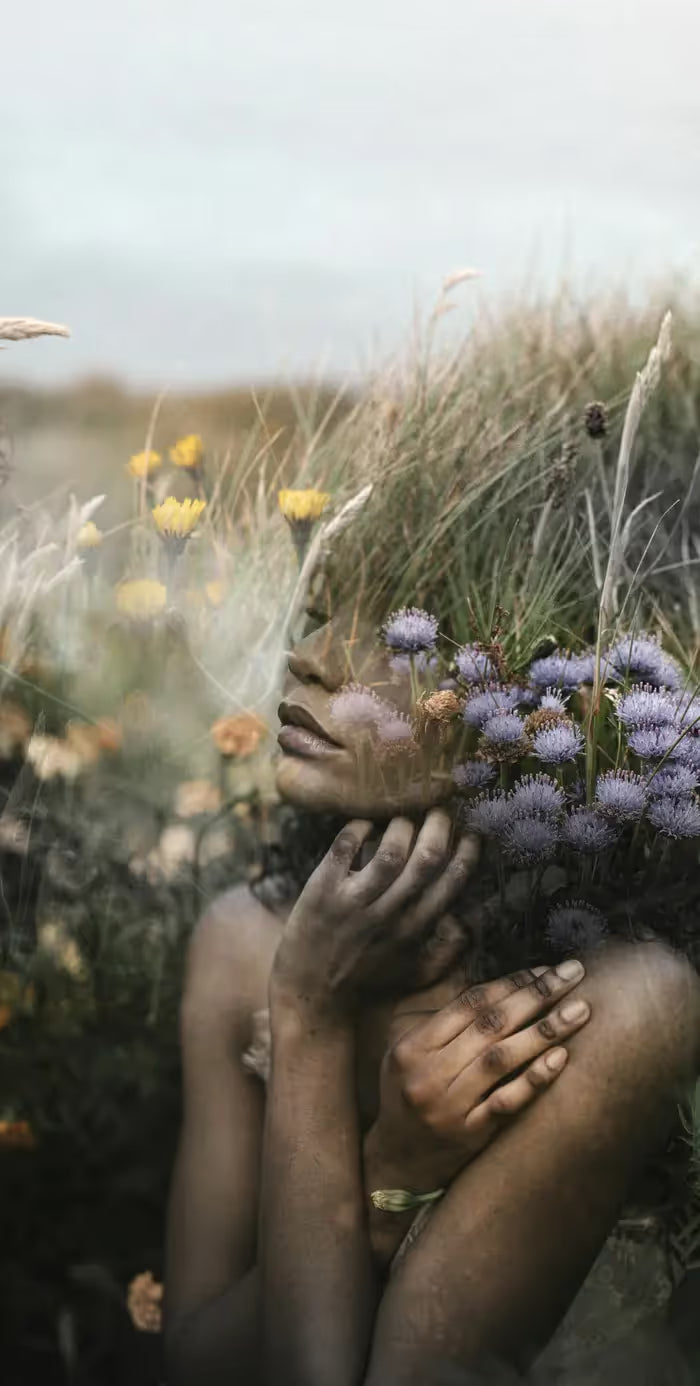 IL Y AVAIT UN JARDIN