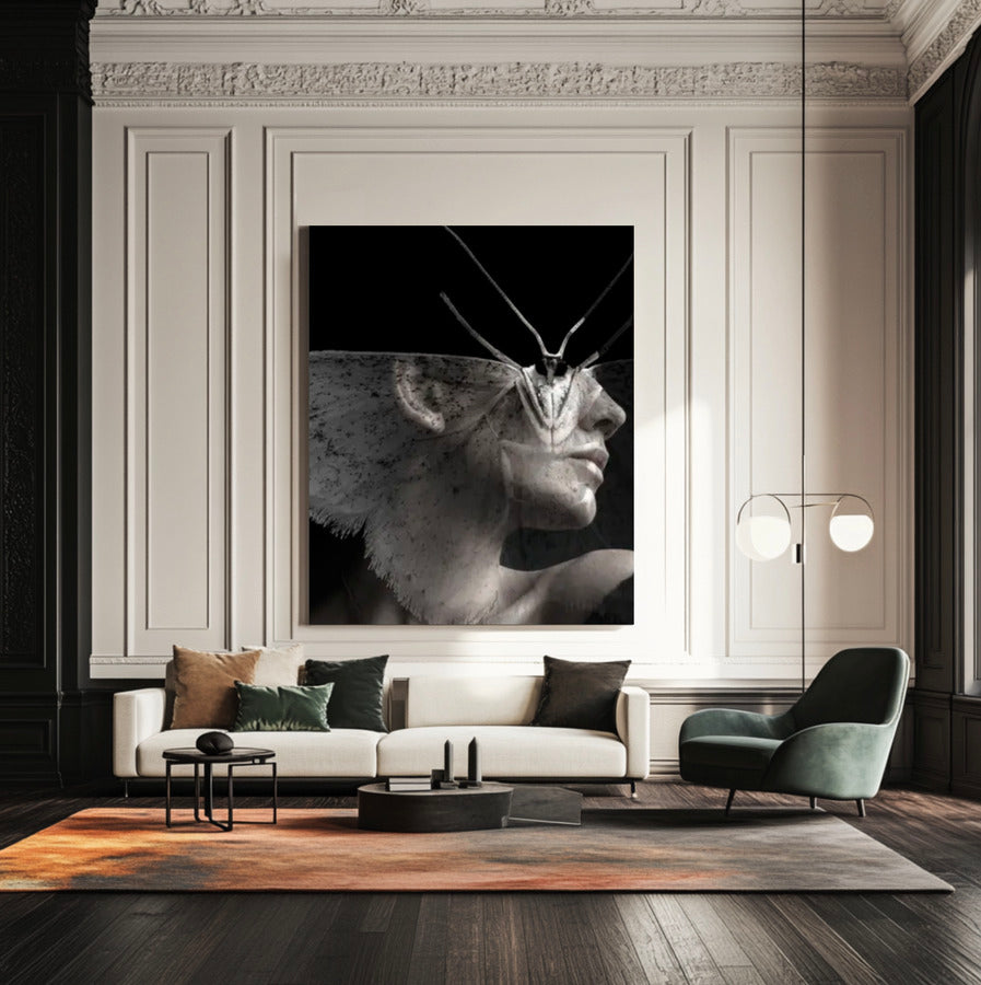 METAMORFOSIS DE UNA MARIPOSA DE LA NOCHE