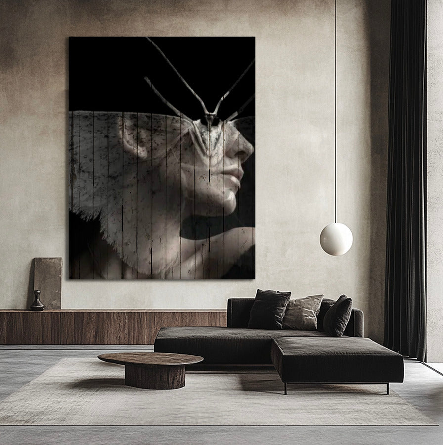 METAMORFOSIS DE UNA MARIPOSA DE LA NOCHE