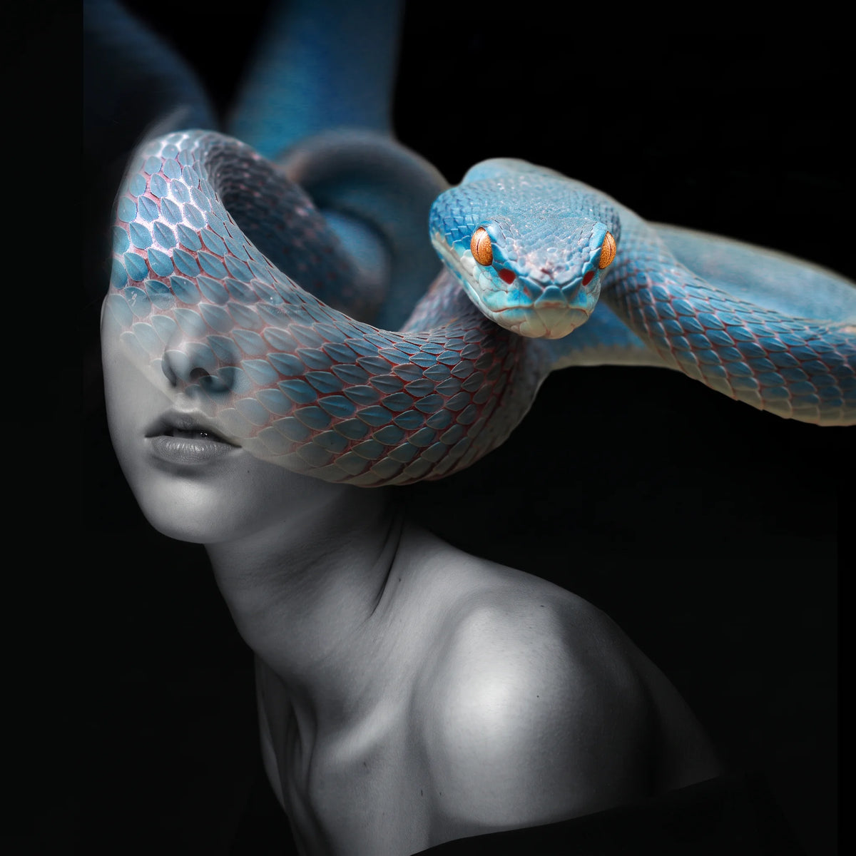 EVA AND THE SNAKE