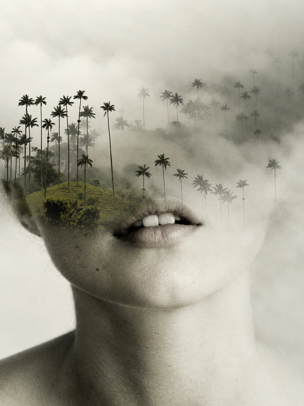 KATE PALM