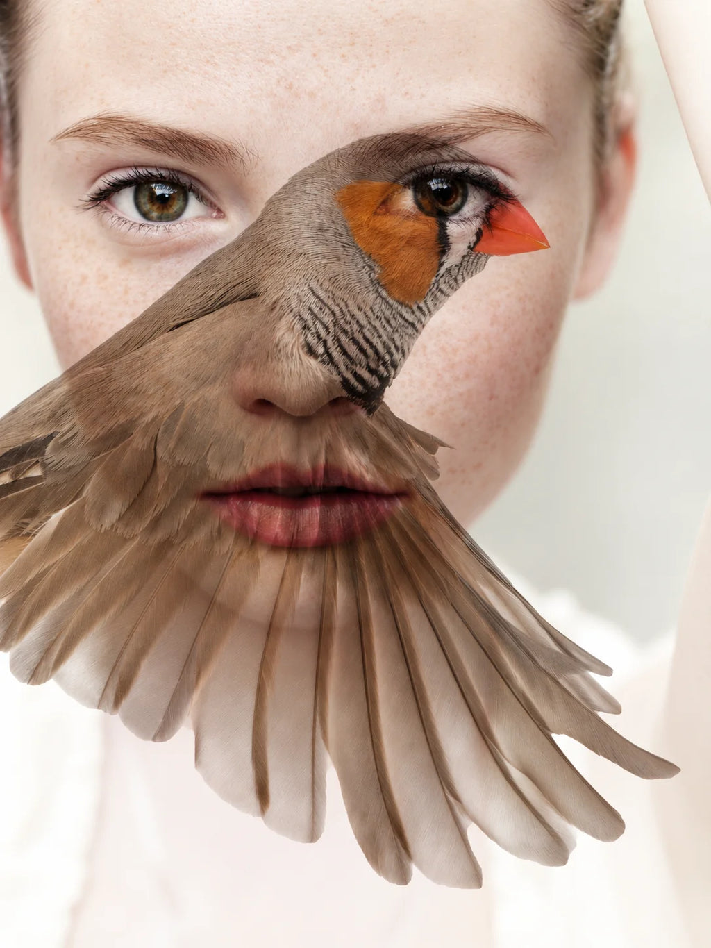 LADY BIRD