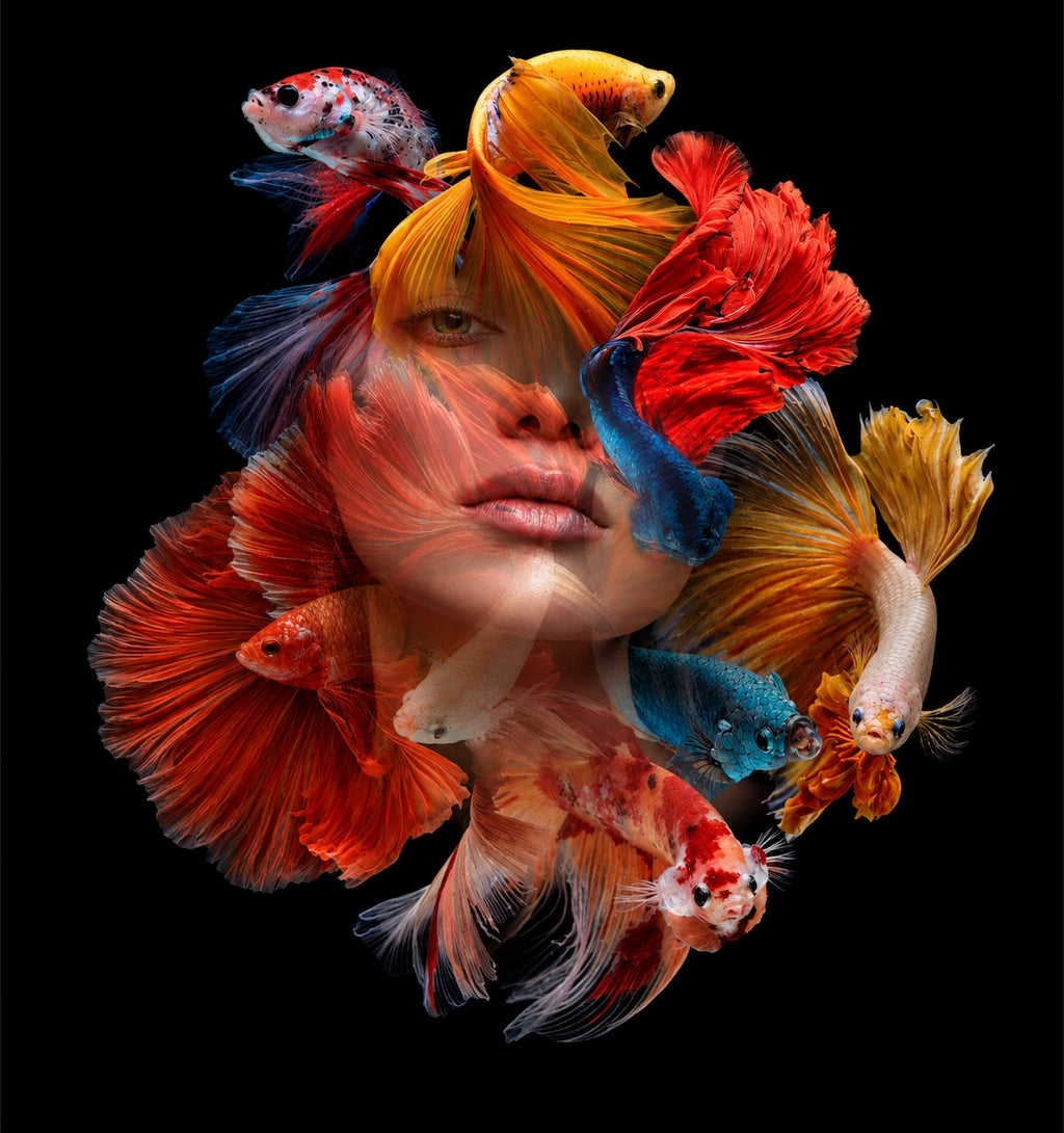 SUBMARINA