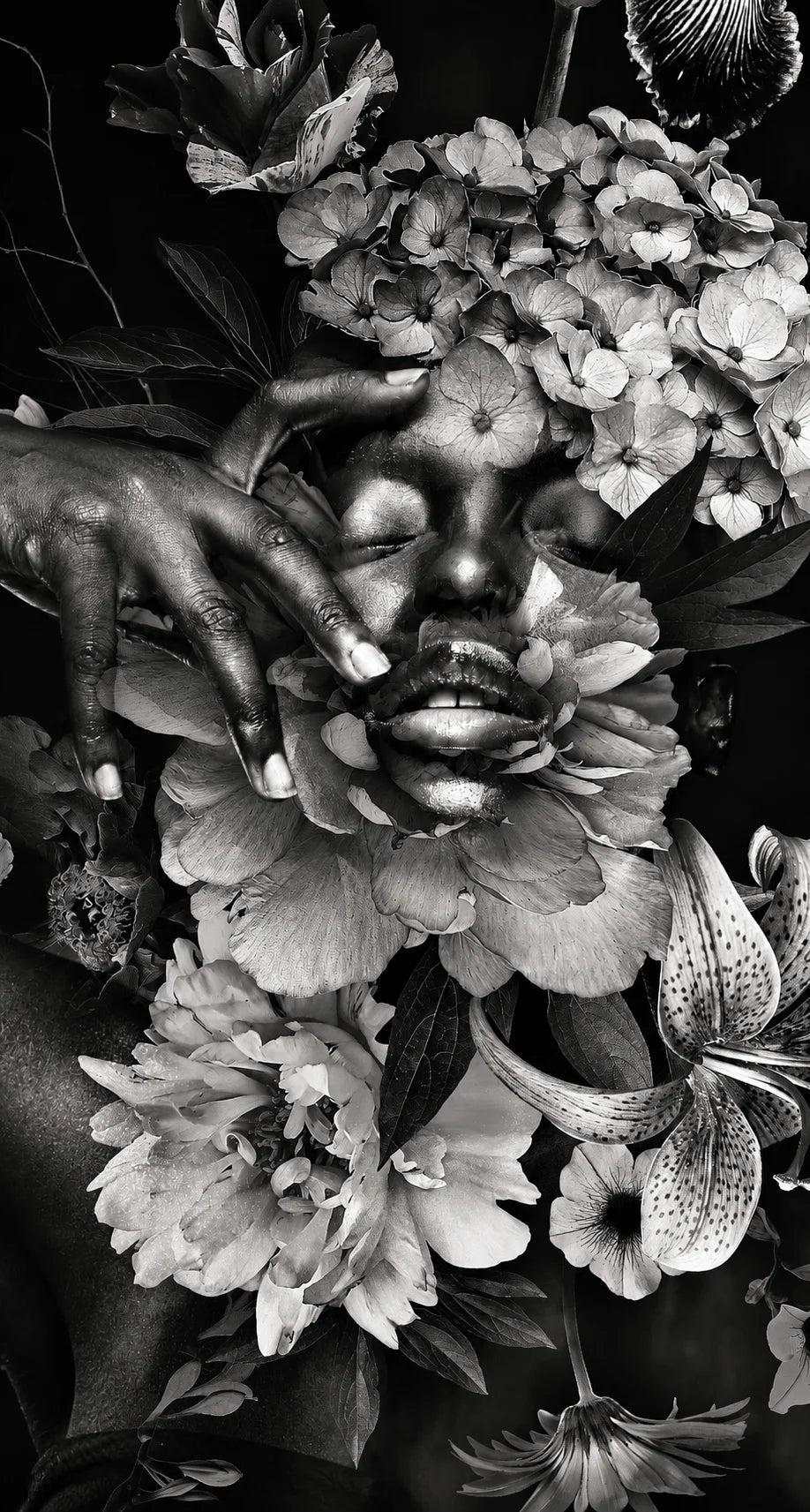 BLACK BEAUTY 2