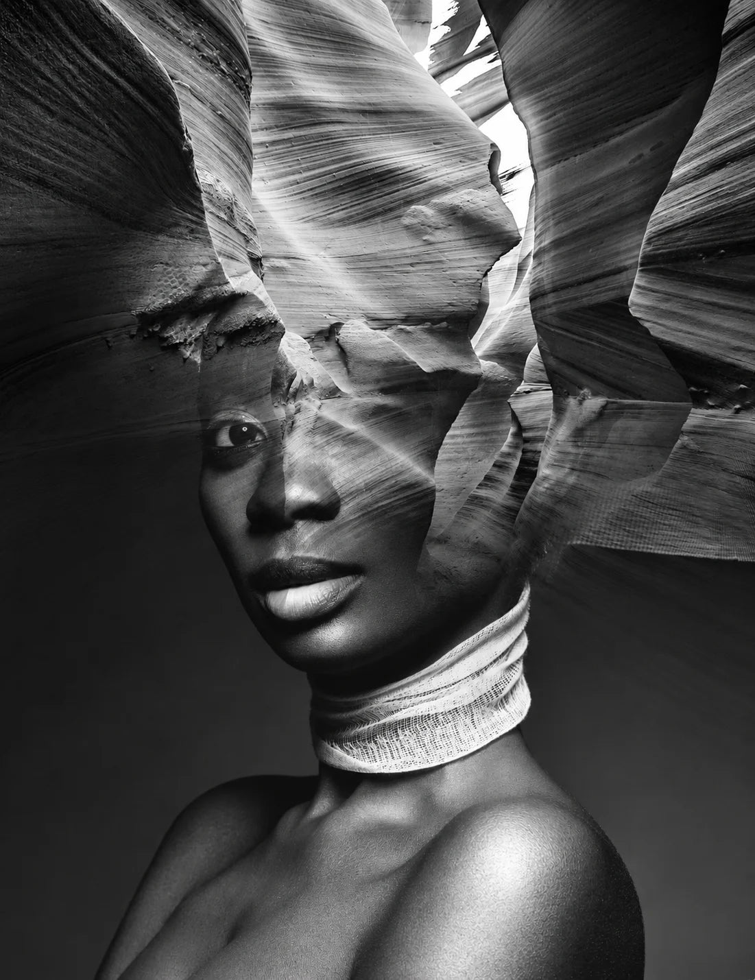 BLACK EARTH