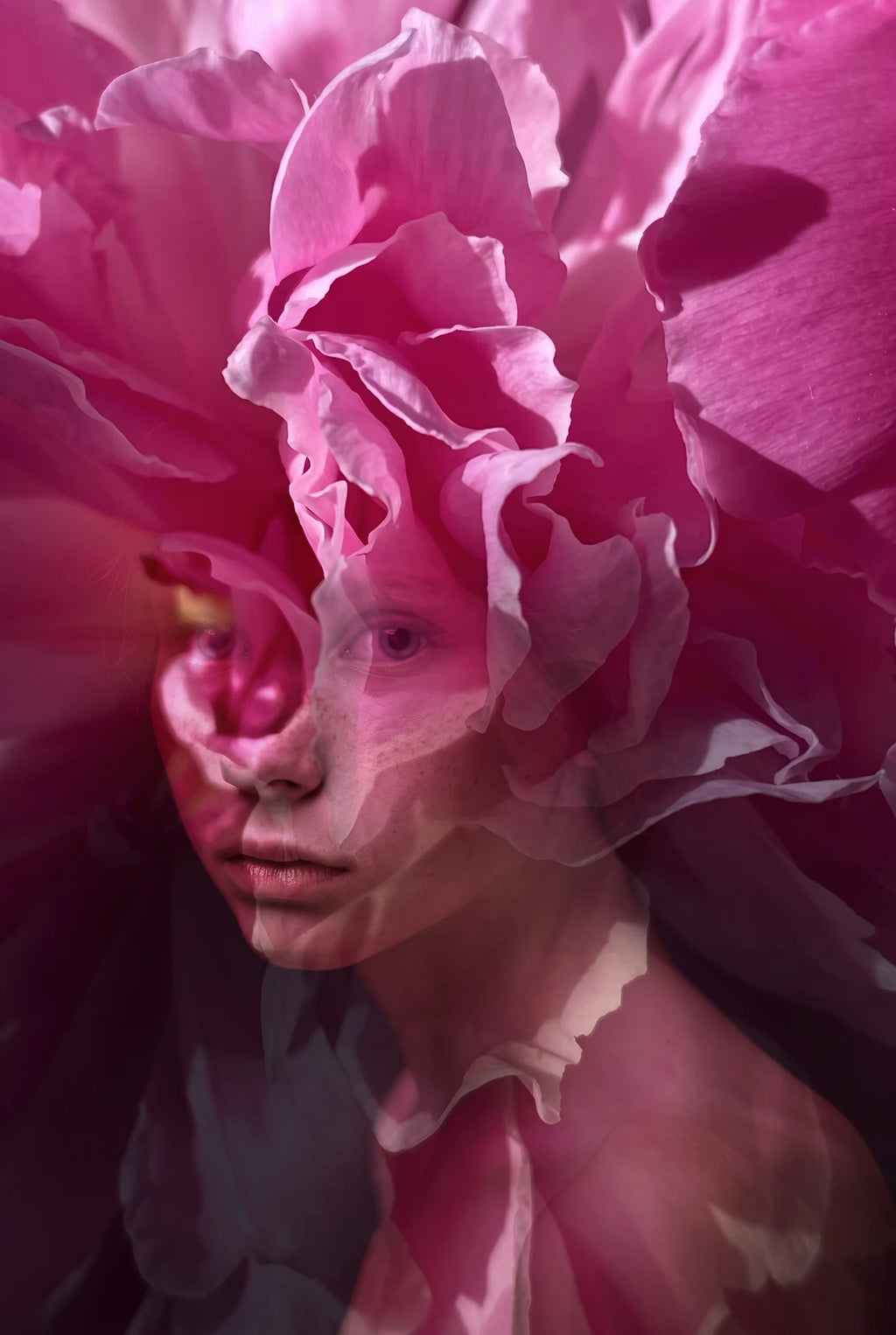 HADA ROSA