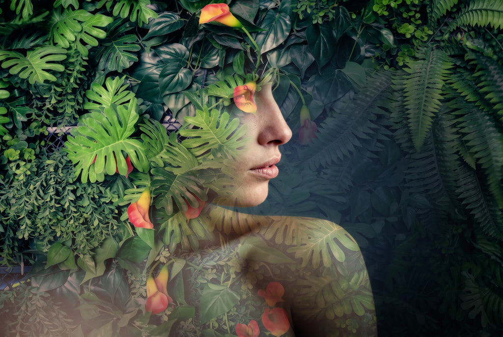 IN THE JUNGLE
