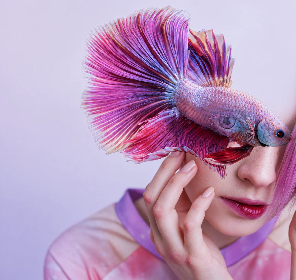 LA SIRENA PURPURA