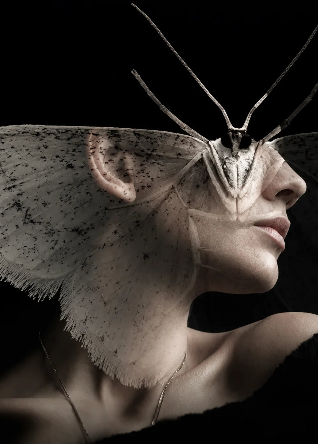 METAMORFOSIS