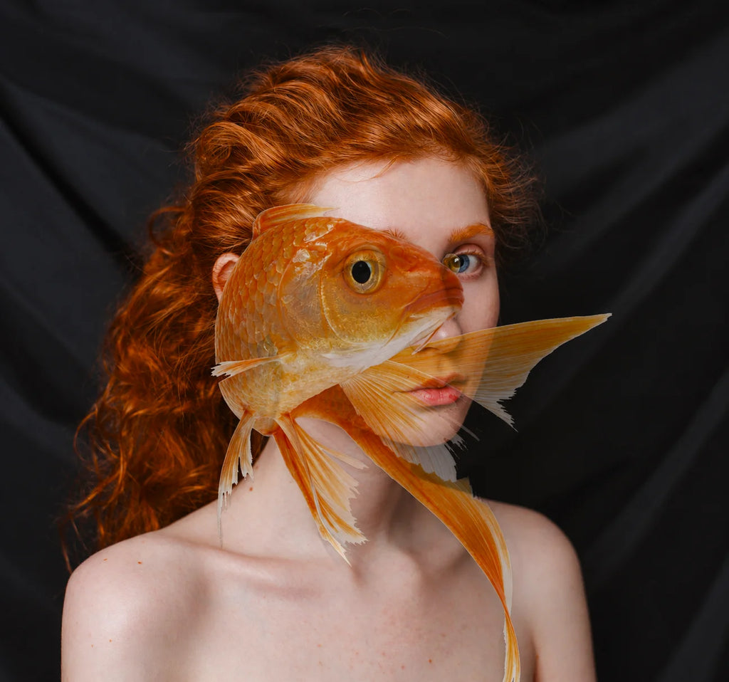 RED FISH