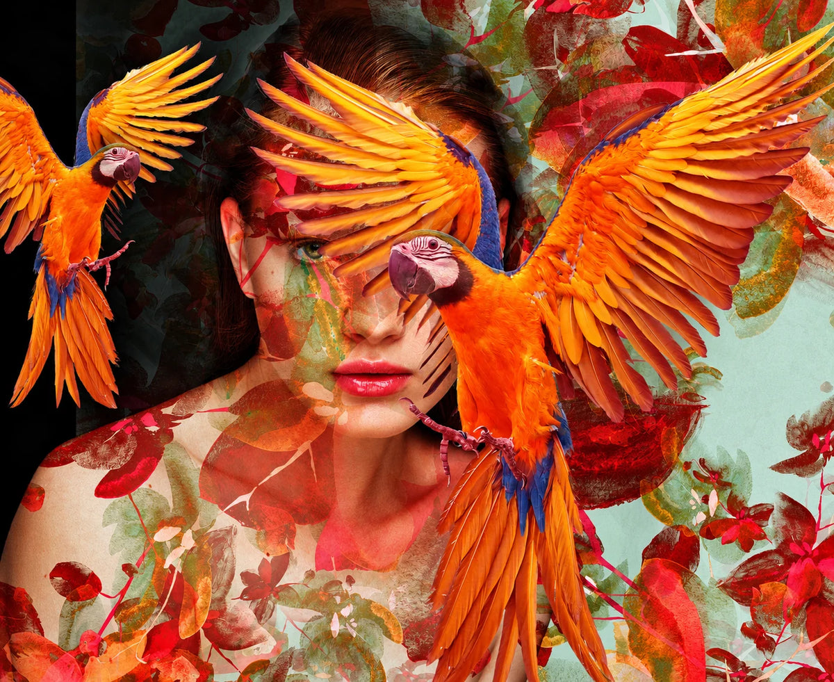 THE PARROT